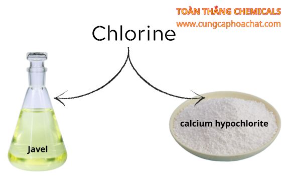 khái niệm chlorine