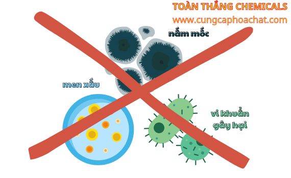 Sodium Benzoate ngăn chặn nấm mốc