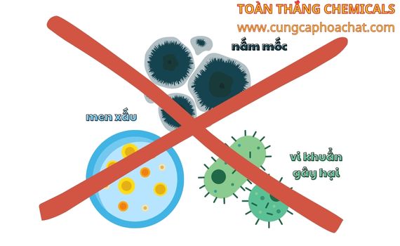 sodium benzoate ngăn cản nấm mốc