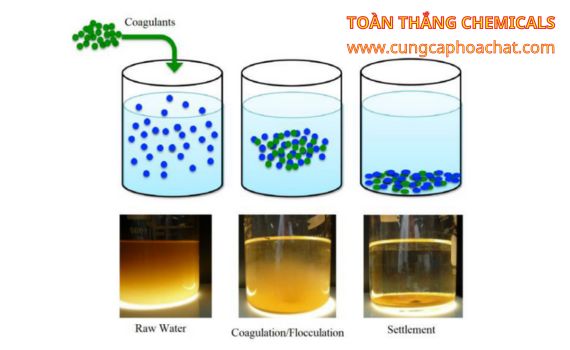 chát keo tụ FeCl3