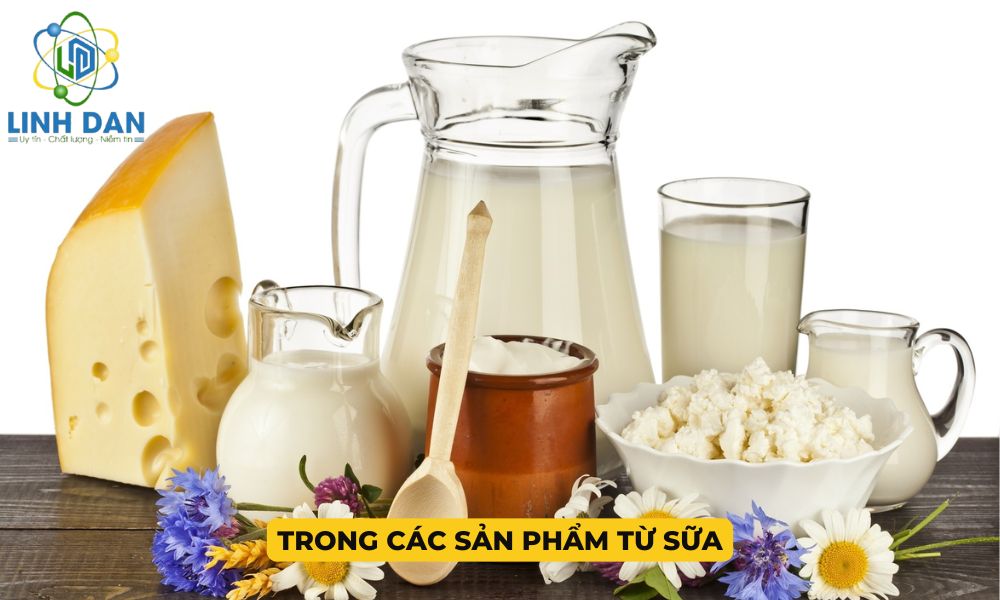 Trong các sản phẩm từ sữa