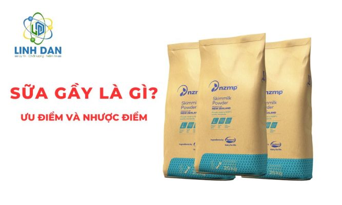 Sữa gầy là gì Ưu và nhược điểm của sữa bột gầy 2025