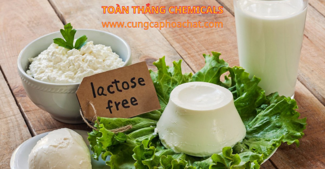 khái niệm đường lactose