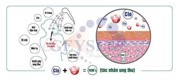 t&aacute;c nh&acirc;n g&acirc;y ung thư từ nước