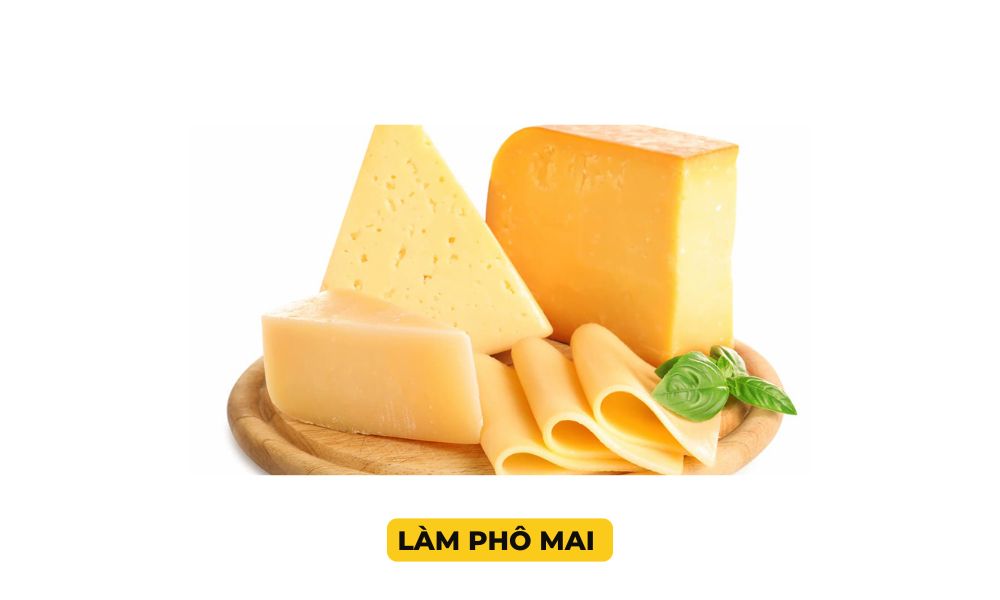 Làm phô mai và sữa chua