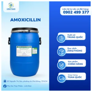 khang-sinh-amoxicillin-trihydrate-amox