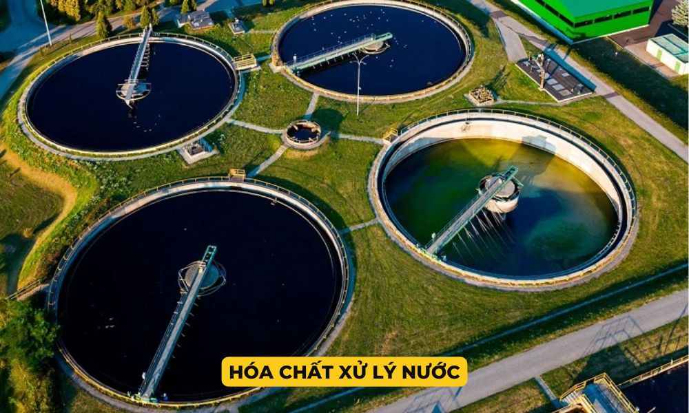 Hóa chất xử lý nước
