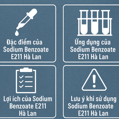 Lợi ích khi sử dụng Sodium Benzoate E211 Hà Lan - Linh Đan Hóa Chất