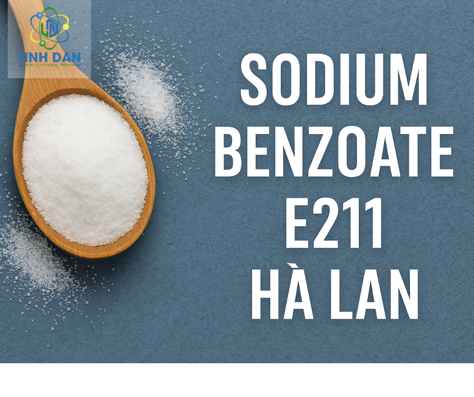 Sodium Benzoate E211 Hà Lan