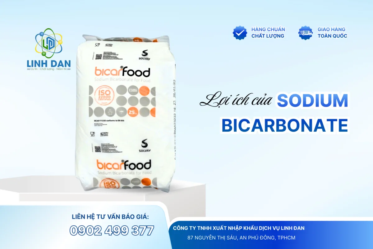 Lợi ích của bicar food ý