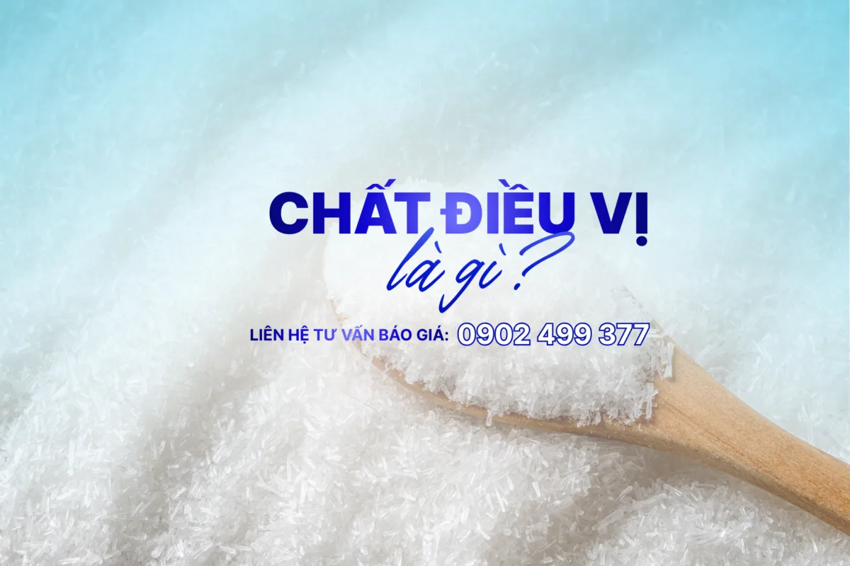 Chất Điều Vị Là Gì?
