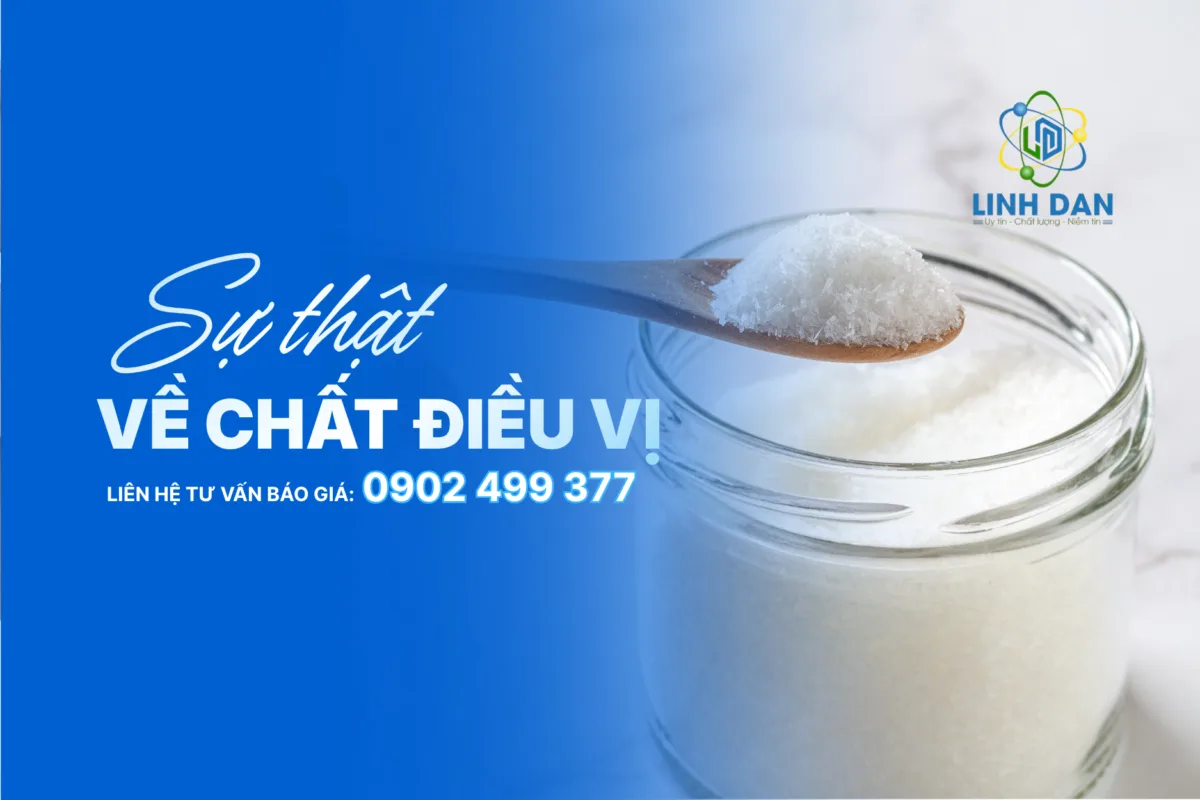 Sự Thật Về Chất Điều Vị