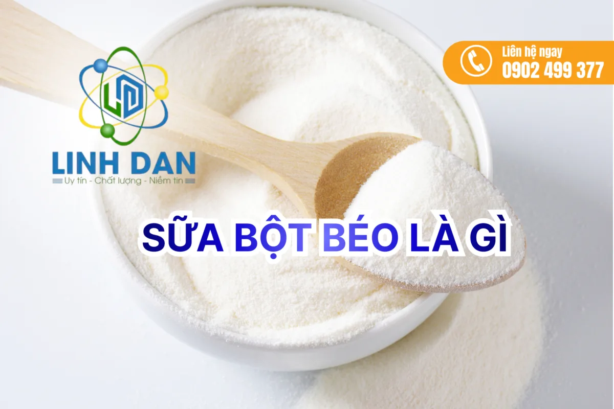 Bột Béo Là Gì? Những Điều Cần Biết Về Bột Béo