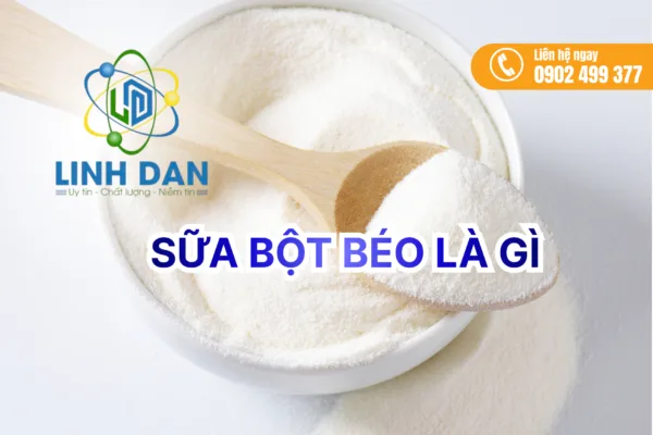 Bột Béo Là Gì? Những Điều Cần Biết Về Bột Béo