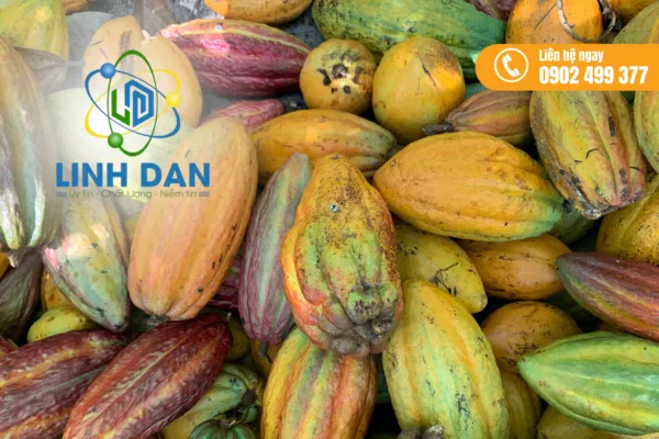 Bột cacao Cargill giá tốt sẵn kho TPHCM