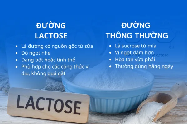 Đường Lactose là gì?