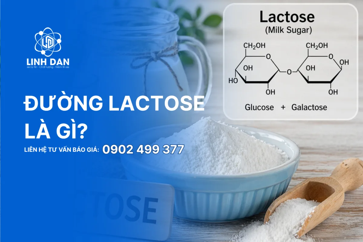 Đường Lactose là gì?