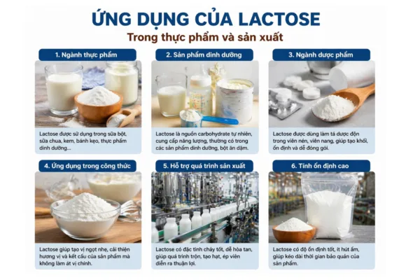 Đường Lactose là gì?