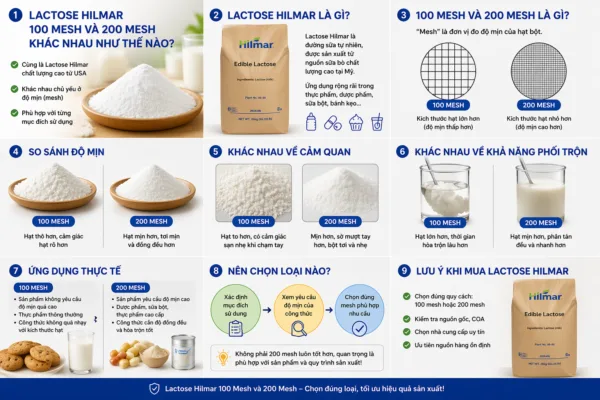 Lactose Hilmar 100 Mesh và 200 Mesh khác nhau gì?