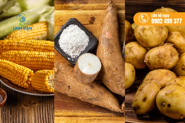 Maltodextrin là gì?