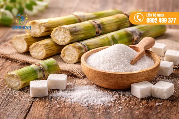 Sorbitol khác gì đường thường