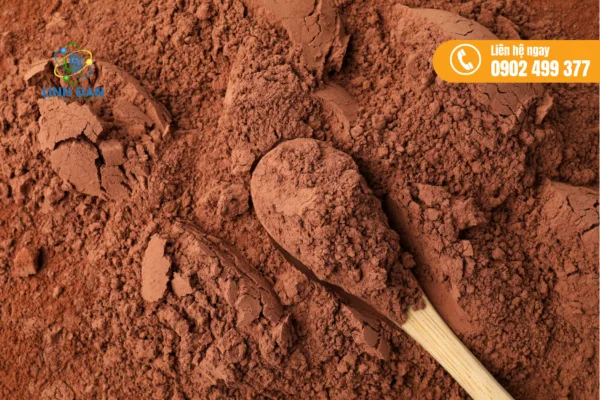 Cacao Favorich AP360 Chính Hãng Giá Tốt