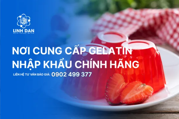 Nơi Cung Cấp Gelatin Nhập Khẩu Chính Hãng