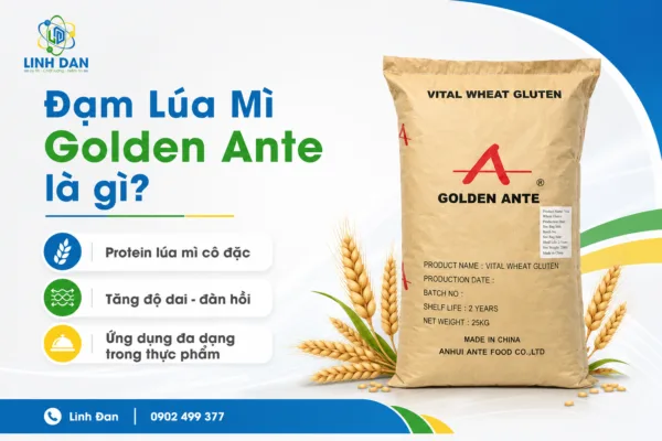 Đạm Lúa Mì Golden Ante Mua Ở Đâu?