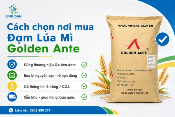 Đạm Lúa Mì Golden Ante Mua Ở Đâu?
