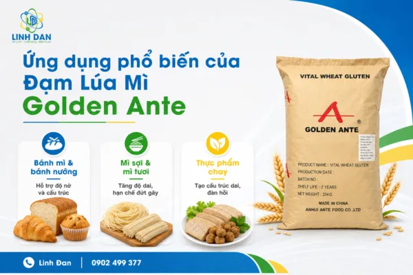 Đạm Lúa Mì Golden Ante Mua Ở Đâu?