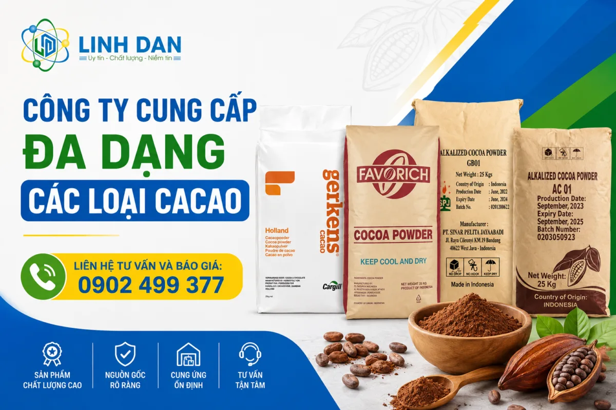 Công ty cung cấp đa dạng các loại cacao