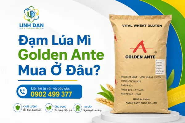 Đạm Lúa Mì Golden Ante Mua Ở Đâu?