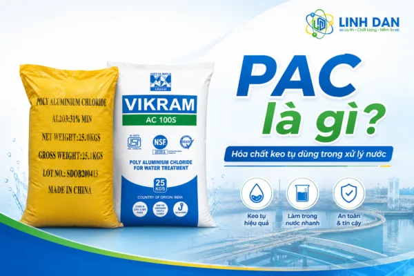 PAC mua ở đâu TPHCM?