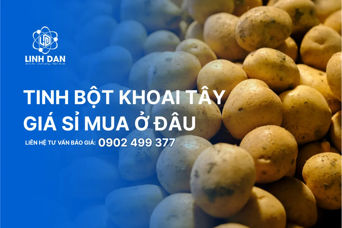 Tinh Bột Khoai Tây Giá Sỉ Mua Ở Đâu