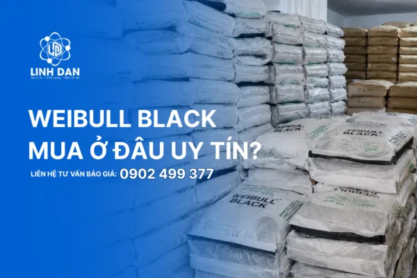 Weibull Black mua ở đâu uy tín?